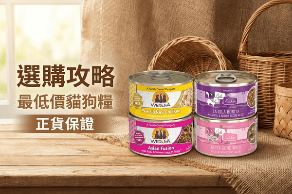 WeRuVa 選購攻略小圖 - WeRuVa 選購攻略 2026｜Weruva 貓狗天然主食罐與濕糧全指南
