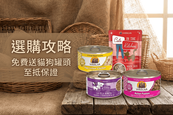 WeRuVa 選購攻略 小圖 - WeRuVa 選購攻略 2026｜Weruva 貓狗天然主食罐與濕糧全指南