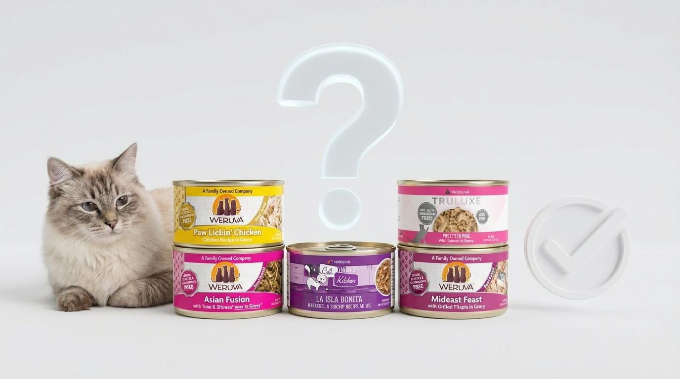 WeRuVa 熱銷產品置於極簡白色空間，背景融入半透明問號與勾選圖示。一隻眼神溫柔的貓咪展現親和力，營造出專業且細緻的常見問題解答氛圍，傳遞出令消費者安心的品牌信賴感。